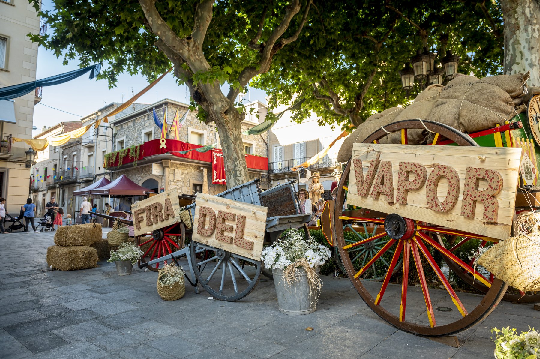 Fira del Vapor Sant Vicenç Castellet