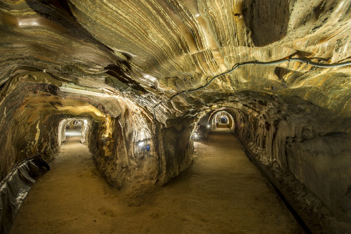 Coves del Toll Geoparc