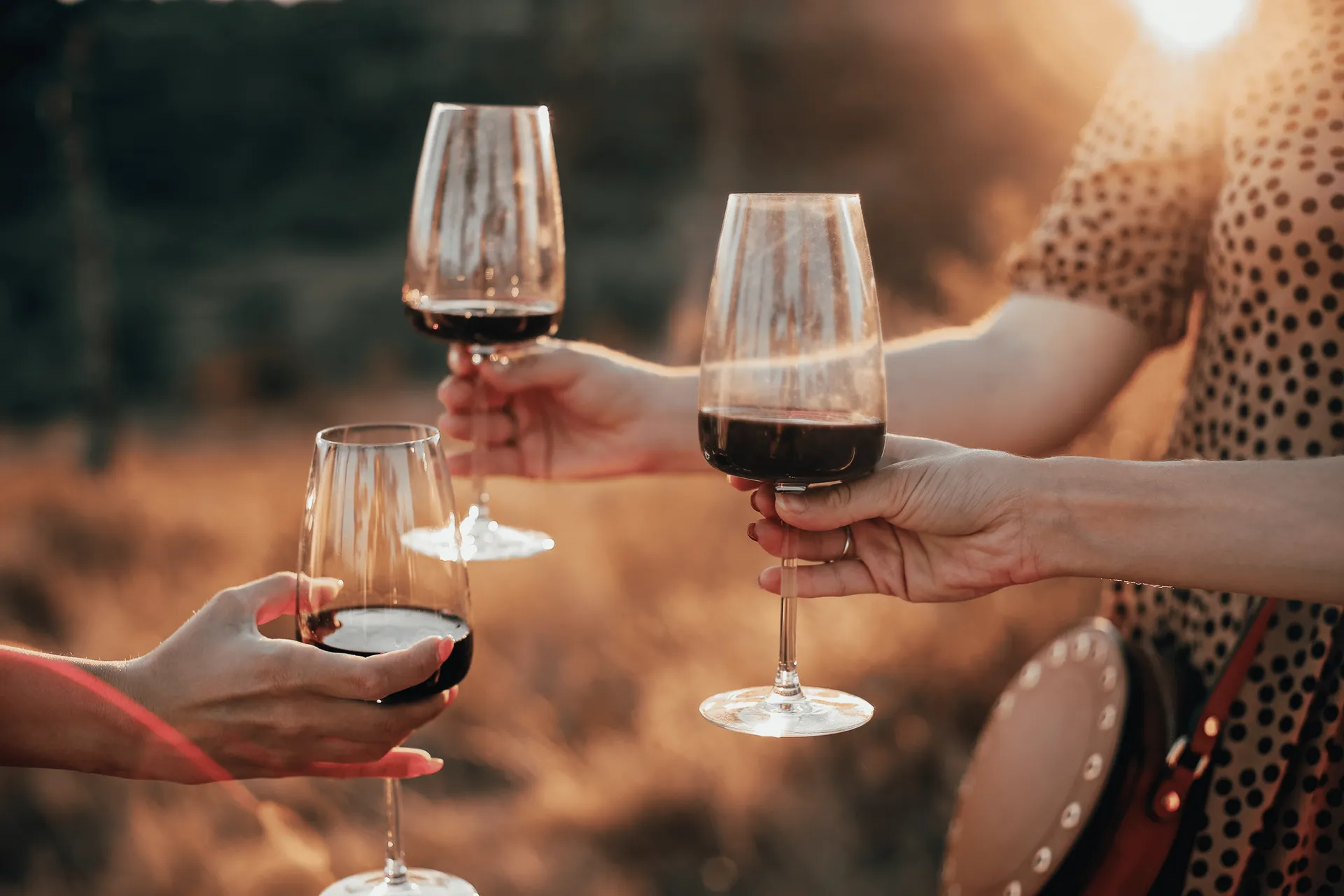 Vins i cellers Manresa